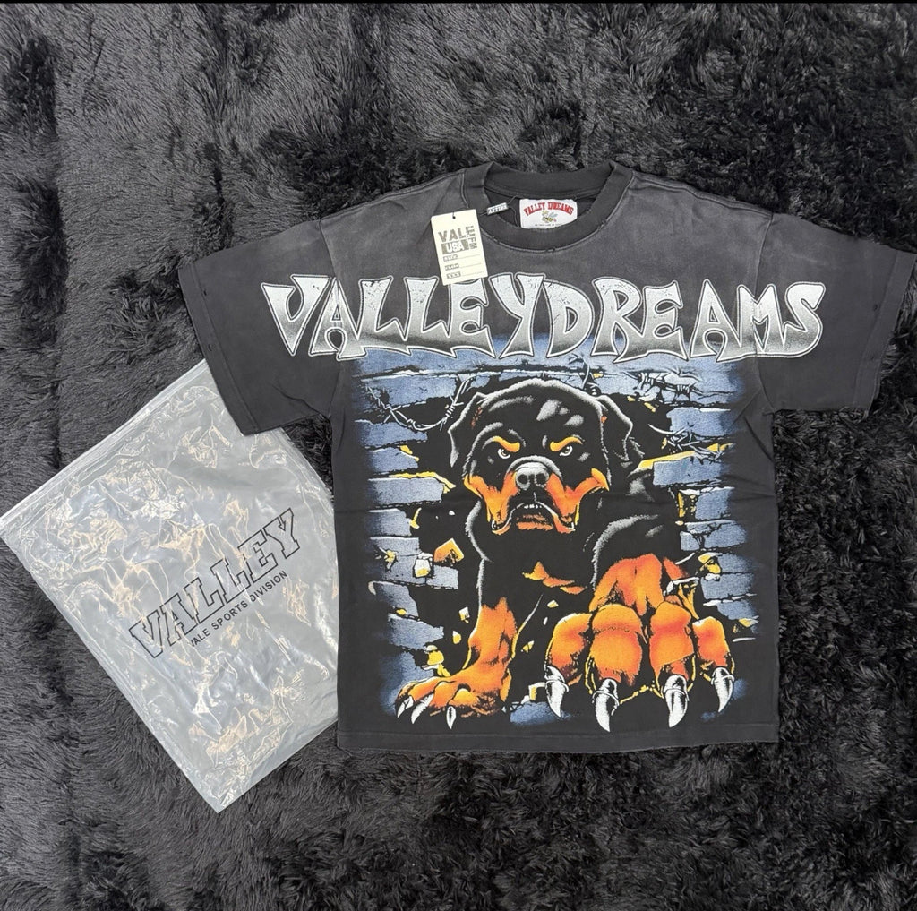 Valley Dreams